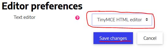 Bilden visar TinyMCE HTML editor som vald text editor